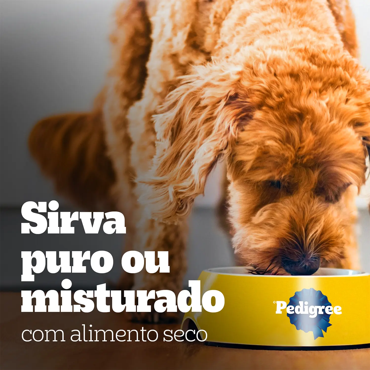 Ração Úmida Pedigree Sachê Cães Filhotes Frango ao Molho